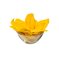 Sac de 1kg Mangue séchée du Vietnam Grossistes Usines Fruits séchés en tranches, Noix Exportés en vrac vers le marché canadien