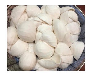 Viandes de noix de coco surgelées d'origine vietnamienne, fournisseur principal en gros, 2025 Offre Spéciale // Disponible en plusieurs formes - Product Image 5