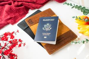 YWCE portefeuille de voyage de luxe en cuir véritable personnalisé RFID bloquant les imprimés d'animaux écologique porte-passeport organisateur crédit - Product Image 2