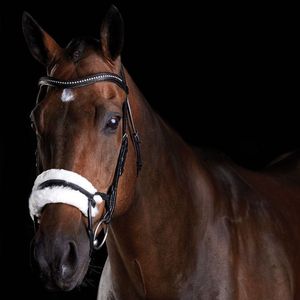 Bride en peau de mouton personnalisée fabricants de brides de cheval en cuir véritable vendant des chevaux en cuir véritable - Product Image 2