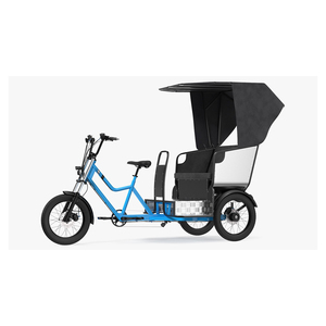 Triciclo para Pasajeros al por Mayor, Listo para Compradores Mayoristas con Valor Comercial Competitivo - Product Image 6