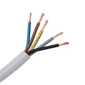 Housing Building Wire Cables Manufacturer Supply Multi-core Copper PVC insulated Flexible RVV 2 3 4 Cores cables and wires