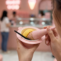 Ensemble d'emballages pour coupes et cornets de glace Gelato, thème rose, contenants de luxe pour desserts avec cuillère, pour exportation aux glacieries