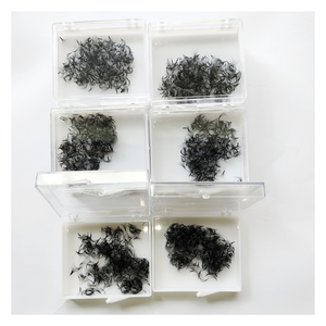 Extensiones de Pestañas Individuales Pre-fabricadas 12D Personalizadas Vietnam Easy Mix Gruesas 15mm Cachemira en Bandeja CC Nhu Y Eyelash NY12D - Product Image 6