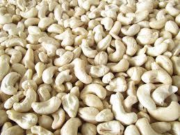 Nueces de Anacardo Premium, Ingrediente Alimenticio Natural de Vietnam - Product Image 4