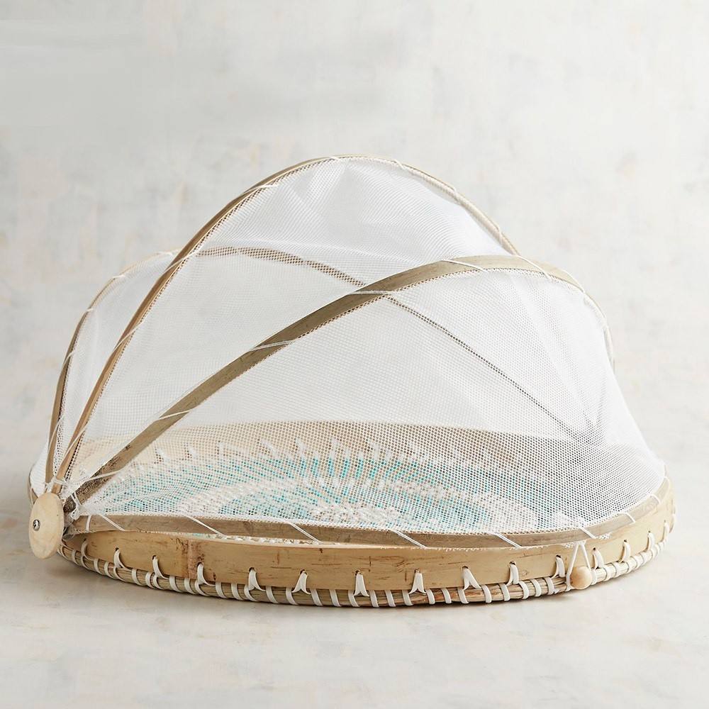 ธรรมชาติ