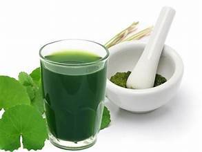 EXTRACTO DE HOJA DE GOTU KOLA A BASE DE PLANTAS EN FORMA DE POLVO FINO PARA EL BIENESTAR Y BENEFICIOS INMUNE - Product Image 4