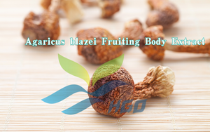 HGO Fournisseur direct d'usine d'extrait de corps fruitier d'Agaricus blazei, qualité alimentaire, polysaccharides 30% 50% extrait standardisé - Product Image 2