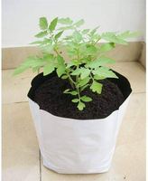 Coco Coirpith Growbags (PP Plastic) KOPEAT Merk Zwart/Wit Groothandel Wortel Kersen Bosbes Teelt Hydroponics