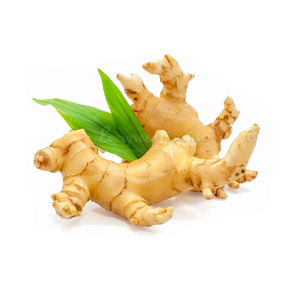 Gingembre frais biologique de meilleure qualité pour l'exportation cultivé professionnellement dans des cartons - Product Image 1