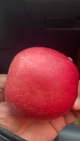 China Bulk Verse Appels Hoge Kwaliteit Vers Fruit Specificatie Rode Fuji appel Nieuwe Oogst Rode Verse Fuji appel Volledig Rode Appels