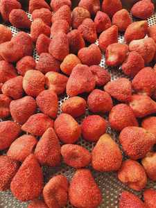 BEST PRICE Blue Lotus Freeze Dried <b>Strawberries</b> 2025 Crunchy <b>Strawberry</b> Slices <b>Sweet</b> Taste for Yogurt Ice <b>Cream</b> Mix - Product Image 6