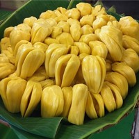 Hoge Kwaliteit Verse Jackfruit Fruit