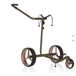 Voiture électrique à 3 roues de qualité supérieure Ju sad TR9-vel 2.0 avec une capacité de 40 kg et un moteur de 200-400 W - Product Image 4