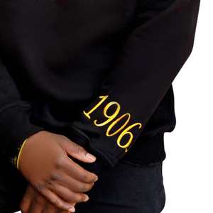 HBCU Alpha Chenille sweat instruit Design personnalisé grec vêtements fraternité vente en gros vêtements col rond pull haut - Product Image 5