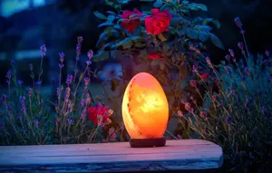 Lámparas Ovaladas de Sal del Himalaya Artesanales SUAZ, Talladas, Ecológicas, 100% Originales, con Cableado Completo - Product Image 4