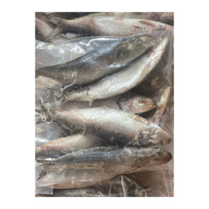 Suministro a granel de sardinas frescas listas para exportación con garantía de frescura constante - Product Image 3