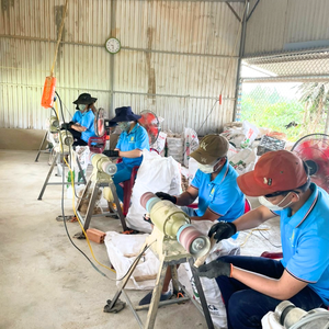 Oferta en Juguetes Masticables para Perros de Madera de Café Gorilla, 100% Naturales, Provenientes de Vietnam de Forma Sostenible, HOANG LINH SG Kimy - Product Image 4