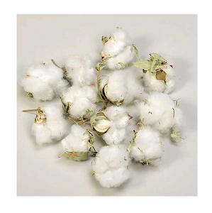 Coton brut de qualité supérieure pour tissus respirants - Product Image 3