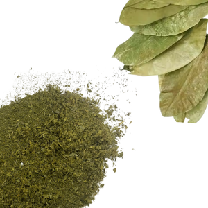 Fine Soursop Leaf Powder | 100% Pure Annona Muricata | Micro-Powder for Supplements - Product Image 5