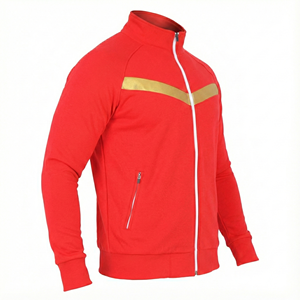 Sweat à capuche à manches longues pour hommes, panneau contrasté, multicolore, avec bande réfléchissante dorée - Product Image 1