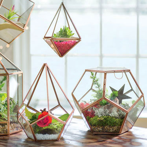 Terrarium en métal de fer de conception géométrique personnalisable et finition en cuivre de verre pour la décoration de maison et de jardin - Product Image 3