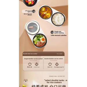 Cuociriso Automatico Intelligente a Doppia Vasca 220V, Multifunzione con Scocca in Plastica e Accessorio Paletta, Ideale per Hotel e Camper - Product Image 3