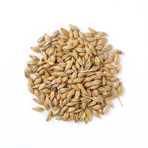 Meilleur aliment pour le grain d'orge/le grain de Malt d'orge/l'orge pelée prêt - Product Image 5