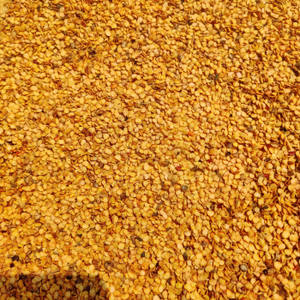 Semillas de chile rojo sin OGM para compradores globales Semillas calientes de Carolina Reaper para calor extremo Semillas de cayena orgánicas para bandejas de plántulas - Product Image 6