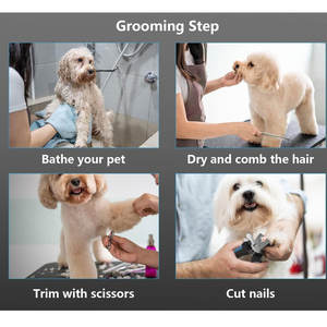 ชุดกรรไกรเสริมสวยสุนัขสแตนเลสสำหรับดูแลสัตว์เลี้ยงเครื่องมือผ่าตัดสัตวแพทย์ออนไลน์ - Product Image 6