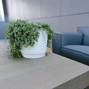 RATOLLA ROUND 2.8L. pot de fleurs, dimensions (mm) 190x190x165, couleur ocre foncé - Product Image 5