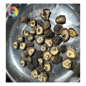 Hongos Shiitake Secados al Sol, Hongos Chinos Naturales para Sopa y Hot Pot, Hongos Negros del Bosque Secos de Vietnam - Product Image 3