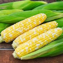 ภูมิคุ้มกันสนับสนุนข้าวโพดหวานแช่แข็งทั้งเมล็ดไม่มีสารเติมแต่ง - Product Image 5