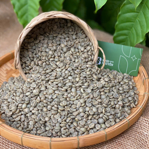 100% granos de café de especialidad verde orgánico Robusta del fabricante de Vietnam hechos a mano para tostadores - Product Image 5