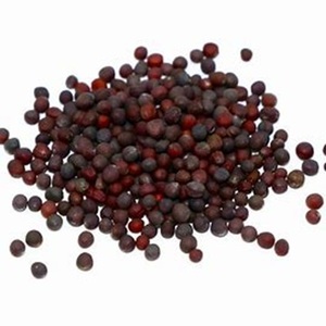 คาโนลาออร์แกนิกเกรดส่งออกผลิตภัณฑ์ทางการเกษตรสำหรับขายในราคาปานกลาง - Product Image 4