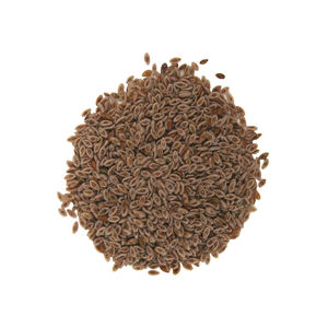 Vente en gros graines et cosses de psyllium prêtes à être exportées vers les industries pharmaceutique et alimentaire - Product Image 5