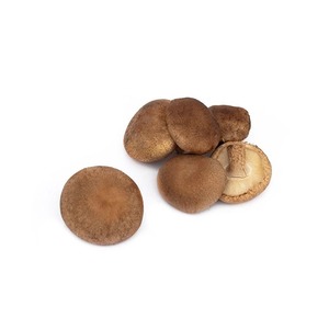 <strong>Shiitake</strong> Mushroom <strong>Extract</strong> Organic <strong>Shiitake</strong> Mushroom Powder - Product Image 4