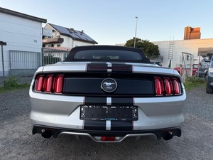 Ford Mustang Cabrio Usata del 2016, 317 CV, 4 Posti, 4 Cilindri, Guida a Sinistra, Alimentazione a Benzina, Trasmissione Automatica - Product Image 6