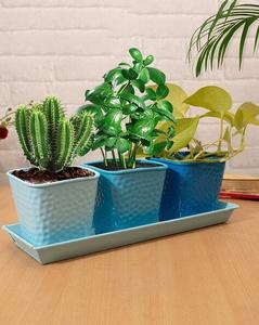 Macetas y bandejas de 3 macetas martilladas azules al por mayor para la decoración interior exterior del jardín del hogar a granel - Product Image 2