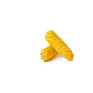 Grains de maïs jaunes séchés non OGM pour la production d'aliments pour animaux et de qualité alimentaire en grandes quantités pour les acheteurs en gros mondiaux - Product Image 2