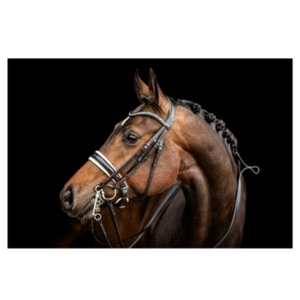 Bridon et licol de style anglais en cuir résistant, qualité équestre, parfait pour l'équitation en plein air et au quotidien - Product Image 3