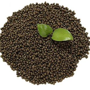Fosfato Diamónico Básico Certificado de Grado Alimenticio CAS 7783-28-0 DAP Fosfato Diamónico para Agentes de Volumen - Product Image 2