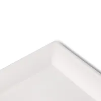 Boîtes carrées jetables écologiques compostables en canne à sucre blanches de 26x26 cm - 500 pièces/carton