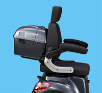 Sepeda Motor Listrik Roda Tiga 1000W 60V Laris di Turki, Kecepatan 25KM <40km/jam untuk Dewasa