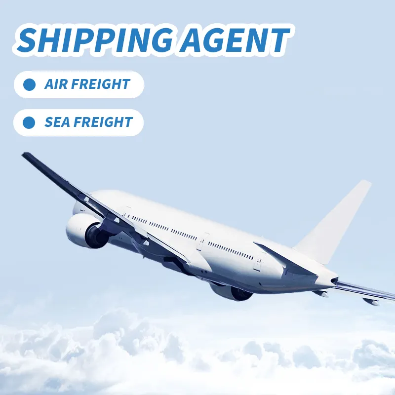 Experienced DDP DDU shipping agent to dubai kuwait oman Air Freight Door to Door Delivery