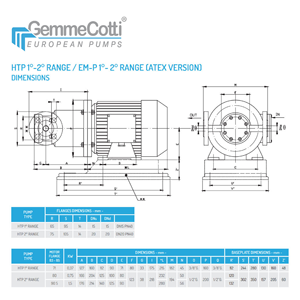 Pompe rotative a palette ad azionamento magnetico ad alta pressione mod. HTP AISI 316 autoadescante a secco in acciaio inossidabile a basso flusso e alto - Product Image 4