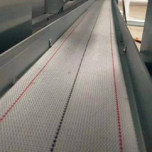 Bande transporteuse à oeufs en acier inoxydable PP à vitesse réglable de 100mm pour les fermes de poulets pour la ponte des œufs de poule - Product Image 4