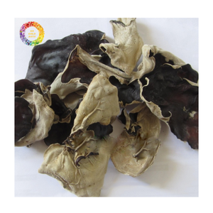 Dried Black Fungus, Premium Edible Dried Mushroom Wood Ear Mushroom for Culinary Ingredient Supply - Product Image 4