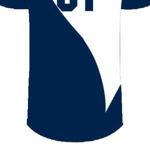 Services ODM Maillots de baseball personnalisés Logo imprimé Étiquettes privées Fabrication artisanale Terre 100% polyester Antibactérien Col en V - Product Image 4