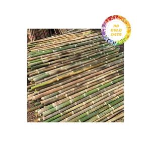 ไม้ไผ่ธรรมชาติ2025ทางเลือกที่ดีสำหรับสวนการเกษตรและตกแต่งตกแต่งตกแต่งด้วยหลอดอลูมิเนียมไผ่ - Product Image 4